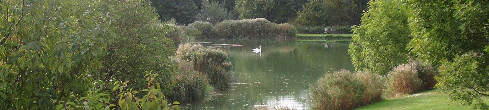 Bellows Mill Self Catering Accommodation - Lake